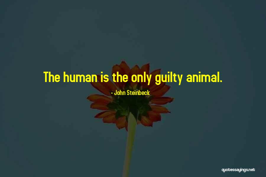 Rashkind Quotes By John Steinbeck Rashkind Quotes By John Steinbeck