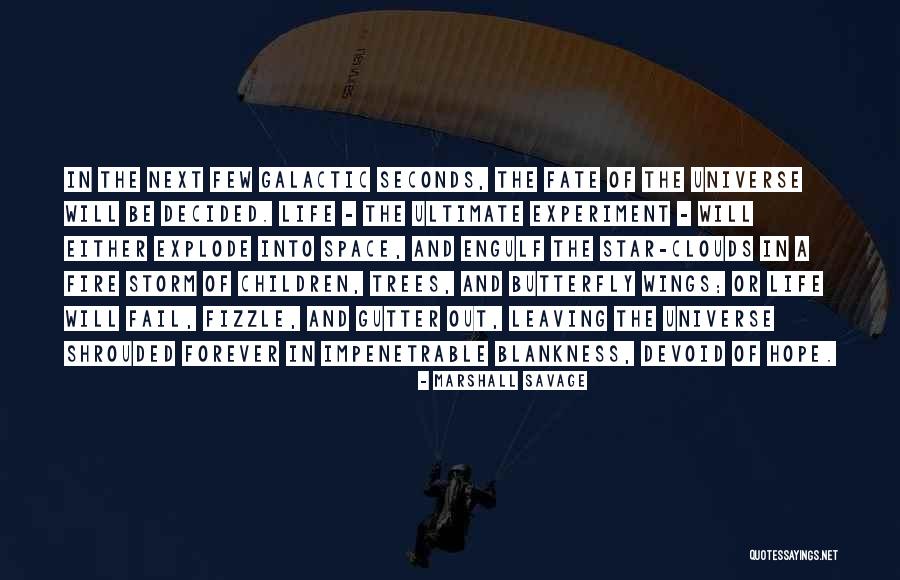 Rashtian Mayer Quotes By Marshall Savage Rashtian Mayer Quotes By Marshall Savage