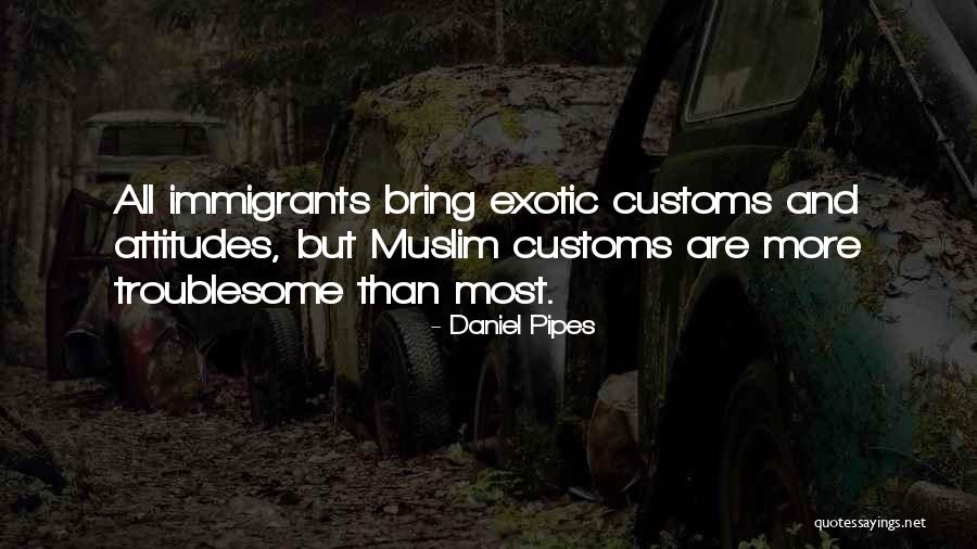 Rashwan Tawfik Quotes By Daniel Pipes Rashwan Tawfik Quotes By Daniel Pipes