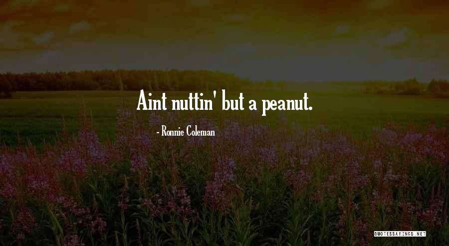 Rasinski Excavating Quotes By Ronnie Coleman Rasinski Excavating Quotes By Ronnie Coleman