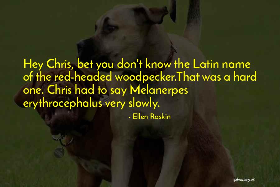 Raskin Quotes By Ellen Raskin Raskin Quotes By Ellen Raskin