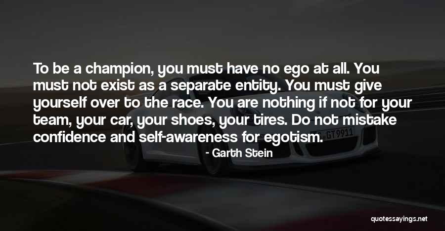 Raslojenost Quotes By Garth Stein Raslojenost Quotes By Garth Stein