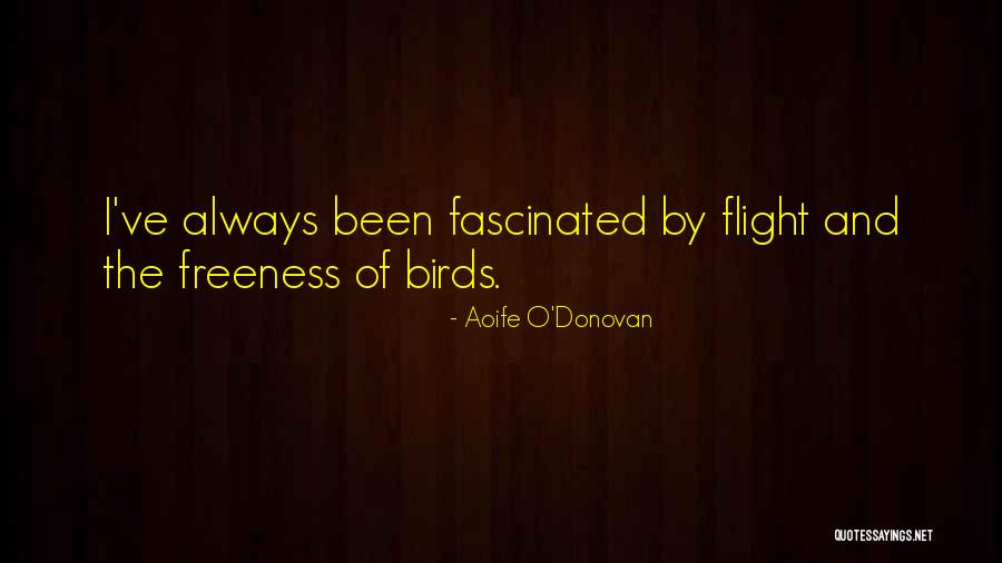Raspallon Quotes By Aoife O'Donovan Raspallon Quotes By Aoife O'Donovan