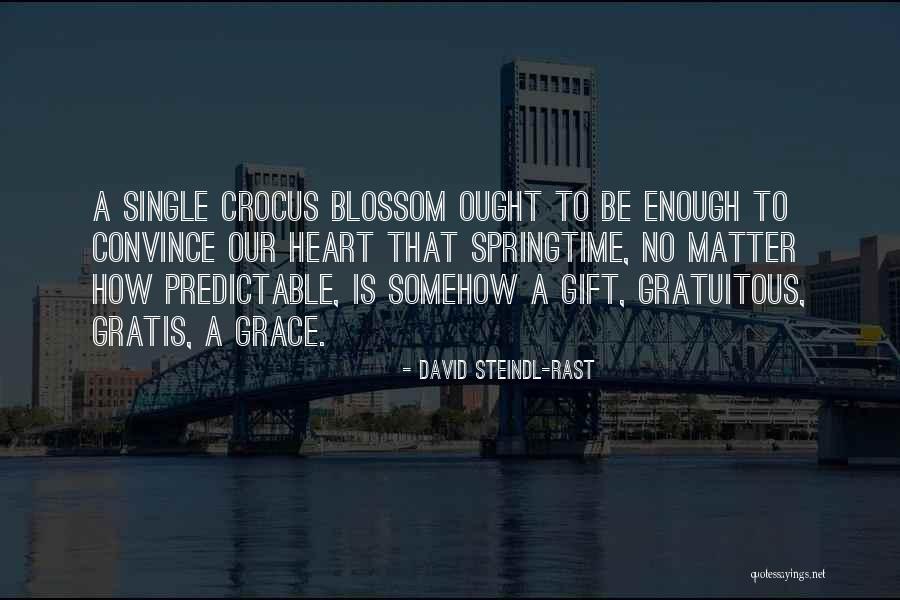 Rast Quotes By David Steindl-Rast Rast Quotes By David Steindl-Rast