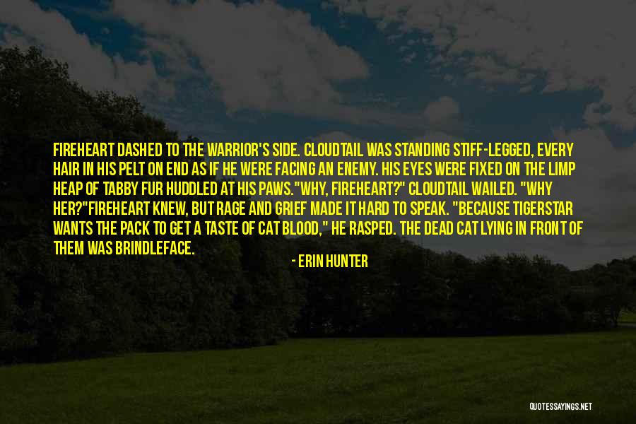 Rastani Mostar Quotes By Erin Hunter Rastani Mostar Quotes By Erin Hunter