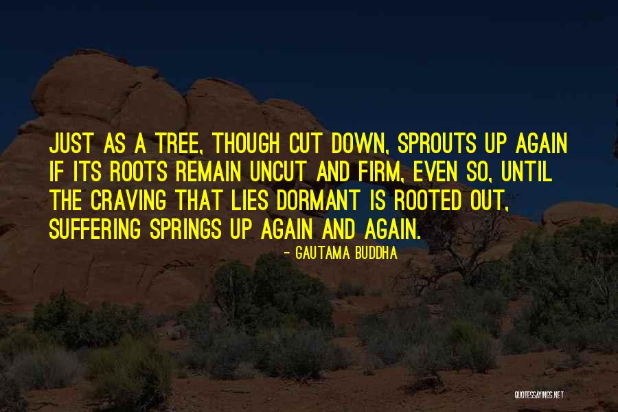 Rastislav Cizik Quotes By Gautama Buddha Rastislav Cizik Quotes By Gautama Buddha