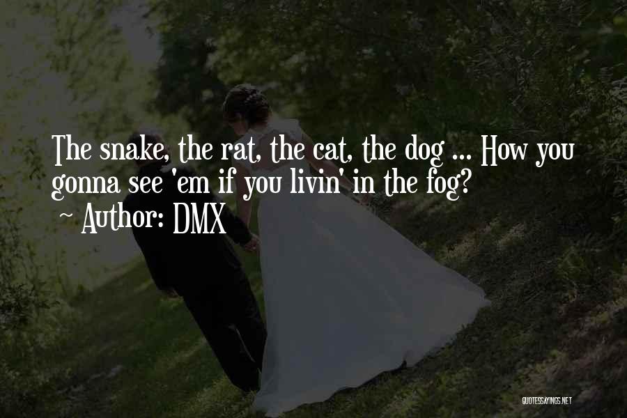 Rat And Cat Quotes By DMX