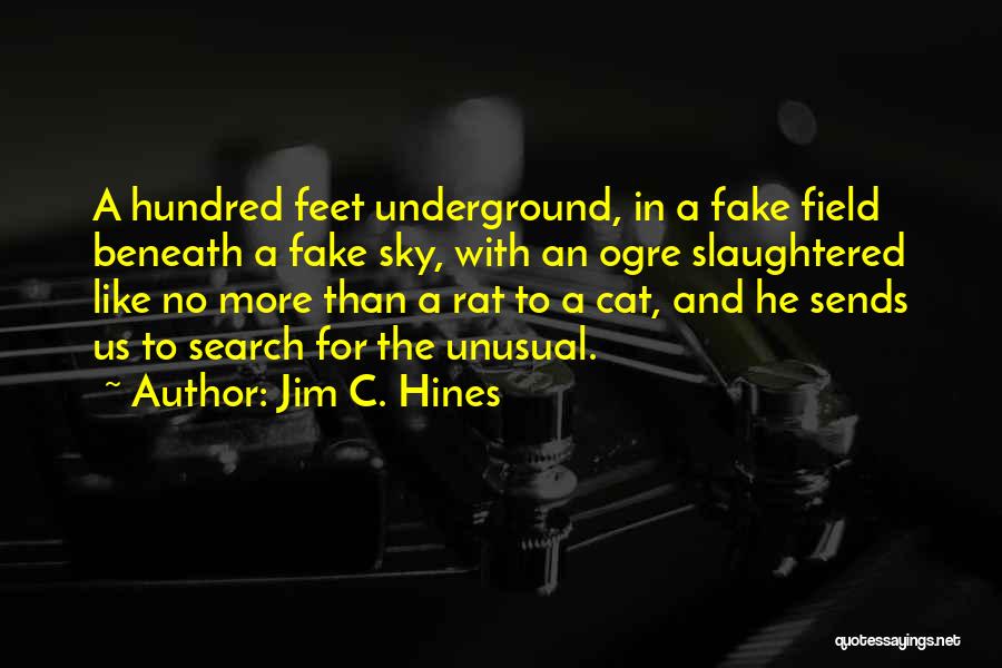 Rat And Cat Quotes By Jim C. Hines