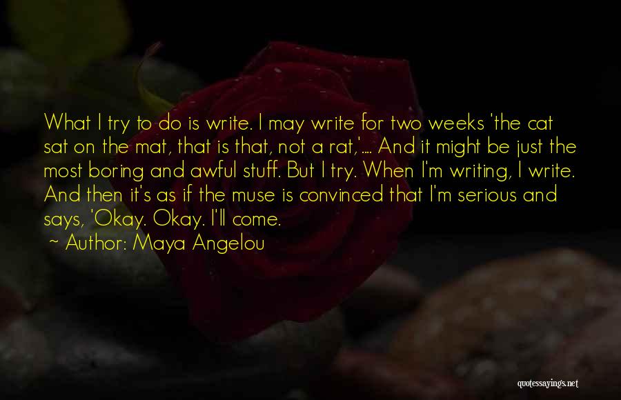 Rat And Cat Quotes By Maya Angelou