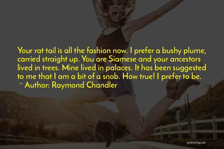 Rat And Cat Quotes By Raymond Chandler