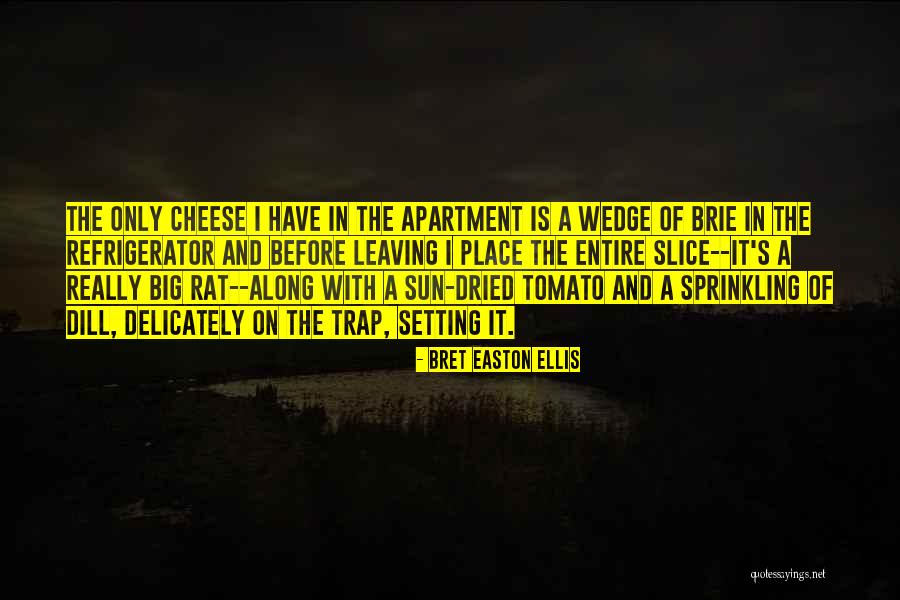 Rat And Cheese Quotes By Bret Easton Ellis