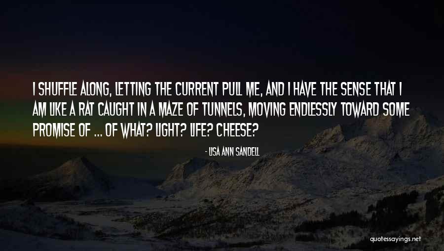 Rat And Cheese Quotes By Lisa Ann Sandell Rat And Cheese Quotes By Lisa Ann Sandell