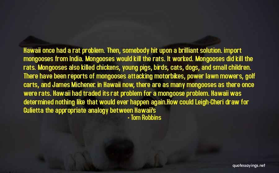 Rat Like Dogs Quotes By Tom Robbins Rat Like Dogs Quotes By Tom Robbins