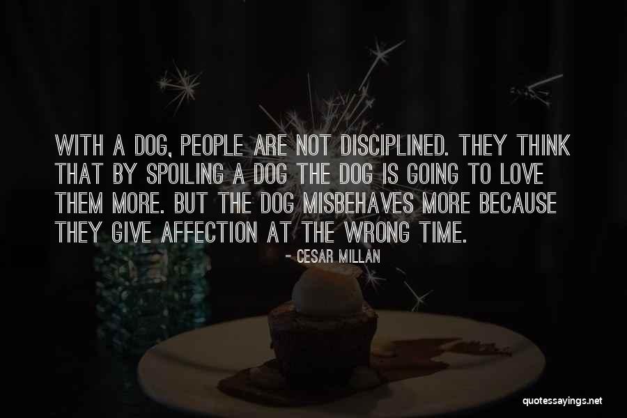 Rataan Lyrics Quotes By Cesar Millan Rataan Lyrics Quotes By Cesar Millan