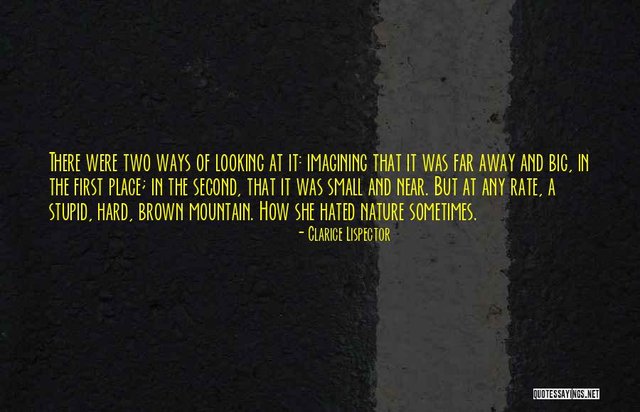 Rate Which Has A Second Quotes By Clarice Lispector