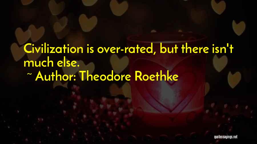 Rated Quotes By Theodore Roethke