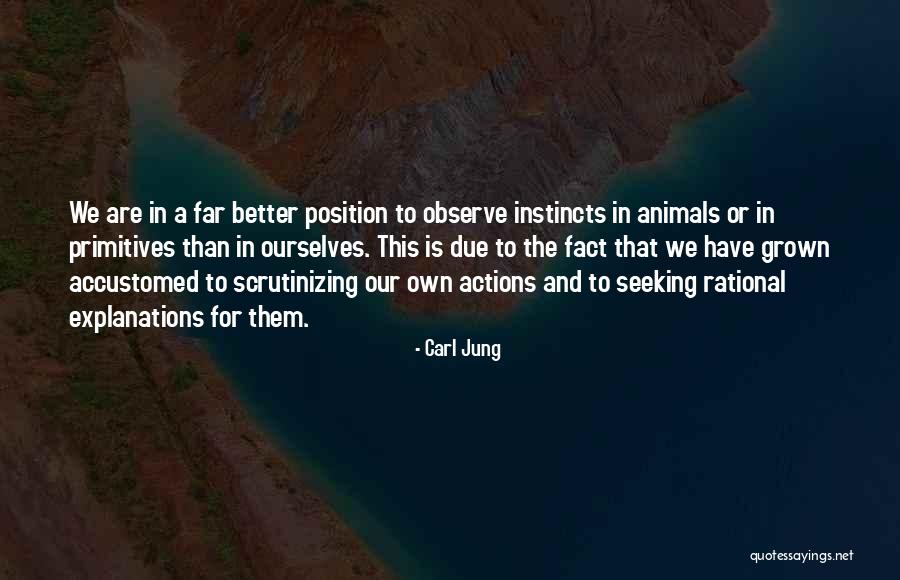 Rational Animals Quotes By Carl Jung Rational Animals Quotes By Carl Jung