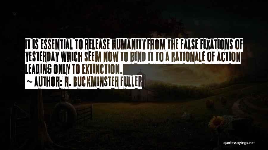 Rationale Quotes By R. Buckminster Fuller