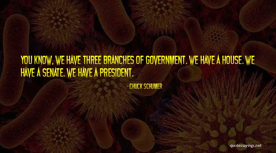 Rationalisation And Surds Quotes By Chuck Schumer Rationalisation And Surds Quotes By Chuck Schumer
