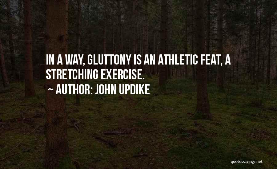 Rationalization Quotes By John Updike