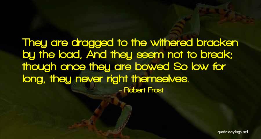 Rationalizing Denominator Calculator Quotes By Robert Frost Rationalizing Denominator Calculator Quotes By Robert Frost