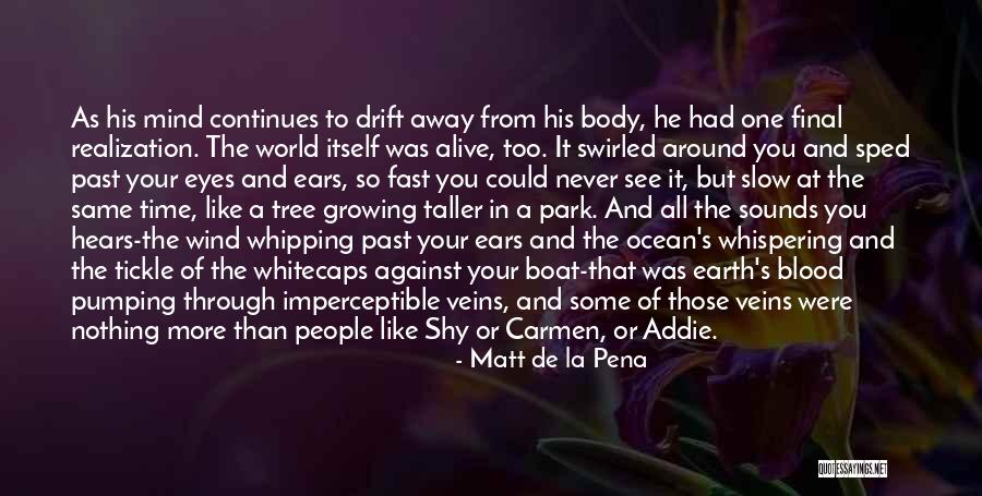 Ratiune Dex Quotes By Matt De La Pena