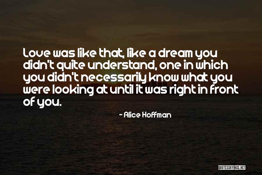Ratlantean Quotes By Alice Hoffman Ratlantean Quotes By Alice Hoffman