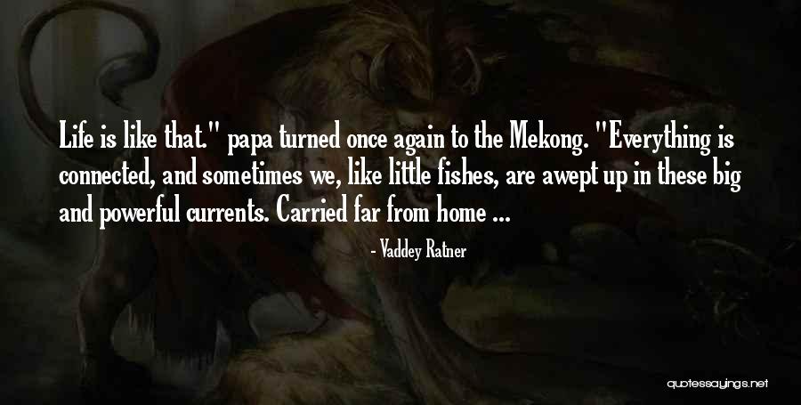 Ratner Quotes By Vaddey Ratner Ratner Quotes By Vaddey Ratner