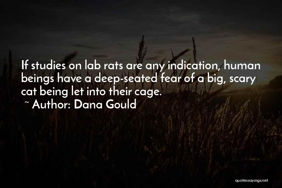 Rats Quotes By Dana Gould