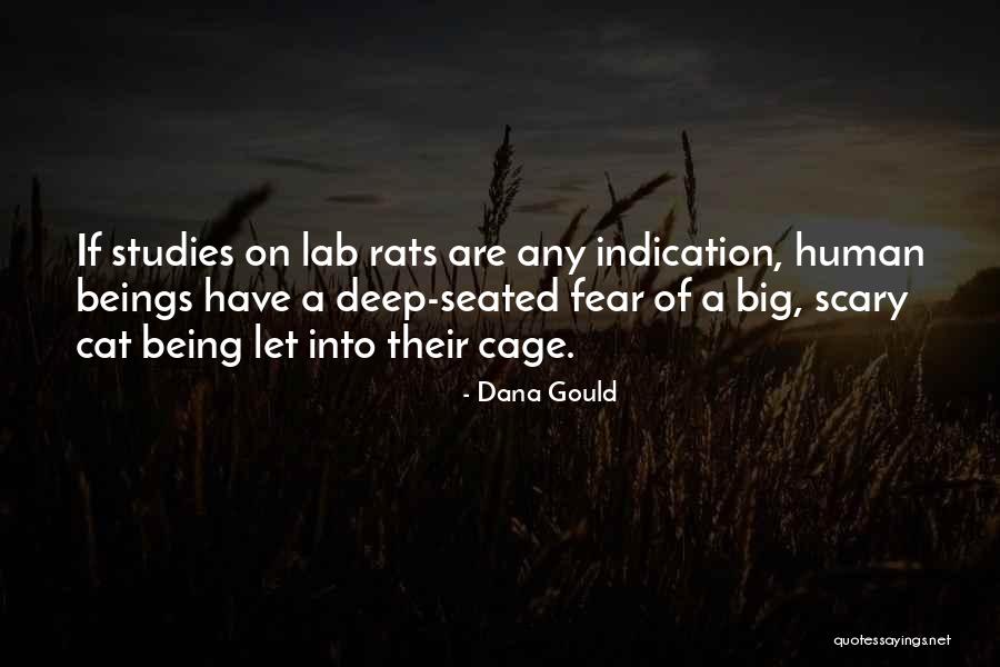 Rats Quotes By Dana Gould