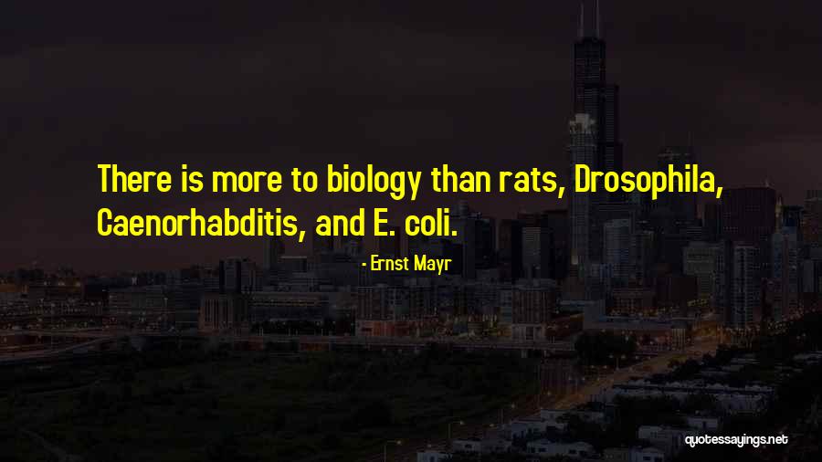 Rats Quotes By Ernst Mayr