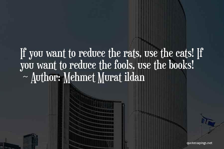 Rats Quotes By Mehmet Murat Ildan