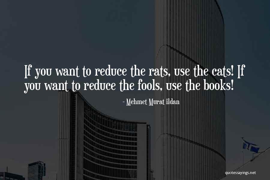 Rats Quotes By Mehmet Murat Ildan