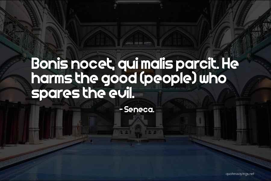 Rattenbury Quotes By Seneca. Rattenbury Quotes By Seneca.