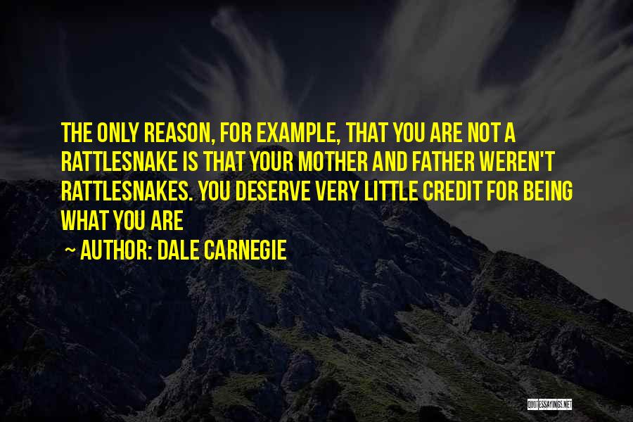Rattlesnakes Quotes By Dale Carnegie