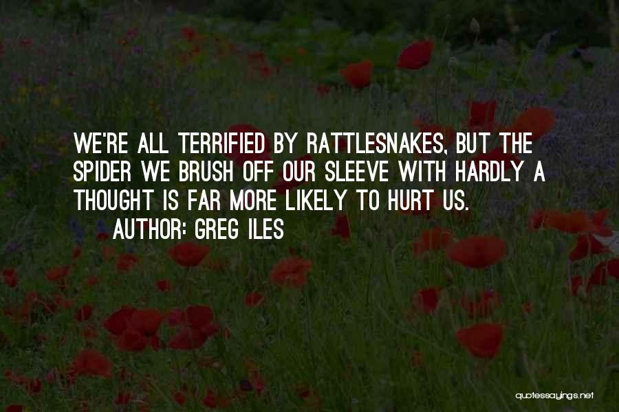 Rattlesnakes Quotes By Greg Iles