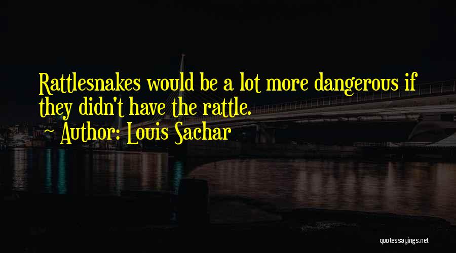 Rattlesnakes Quotes By Louis Sachar