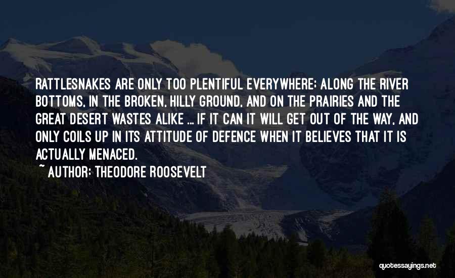 Rattlesnakes Quotes By Theodore Roosevelt