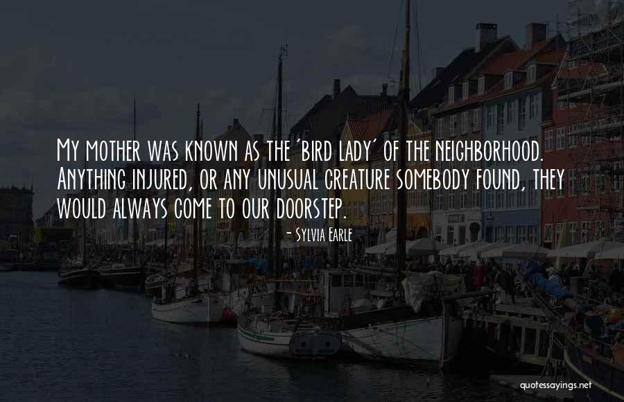 Ratty Matty Quotes By Sylvia Earle Ratty Matty Quotes By Sylvia Earle
