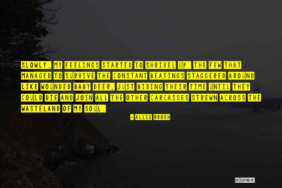 Rauchenwalderhof Quotes By Allie Brosh Rauchenwalderhof Quotes By Allie Brosh