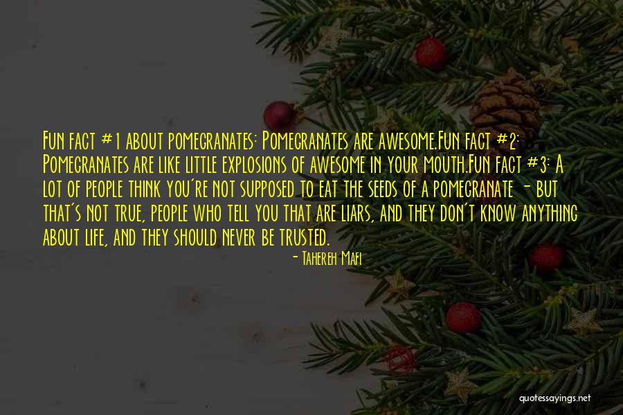 Raudel Serrano Quotes By Tahereh Mafi Raudel Serrano Quotes By Tahereh Mafi