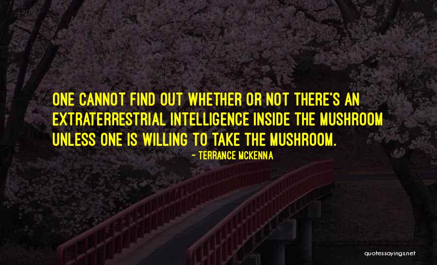 Raudona Knyga Quotes By Terrance McKenna