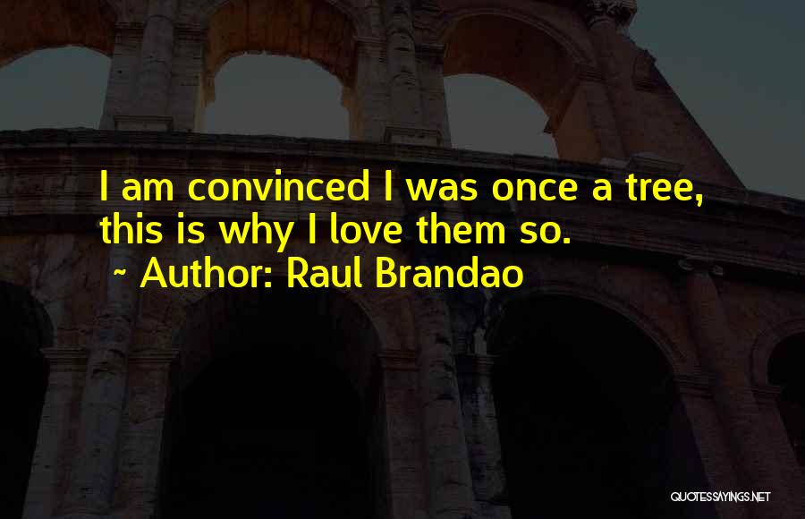 Raul Brandao Quotes 1827294