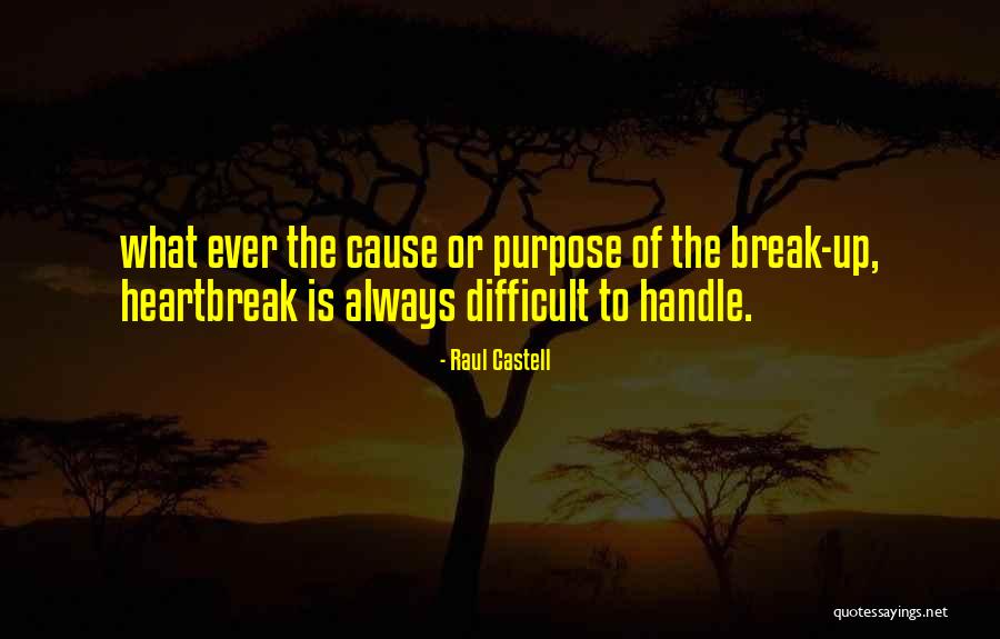 Raul Castell Quotes 612688 Raul Castell Quotes 612688