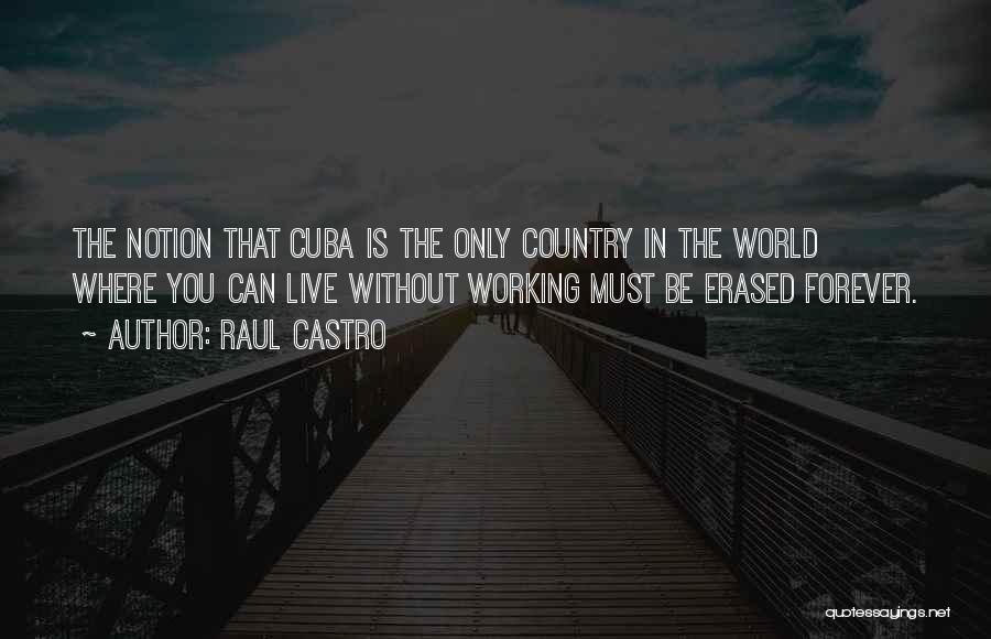 Raul Castro Quotes 638465