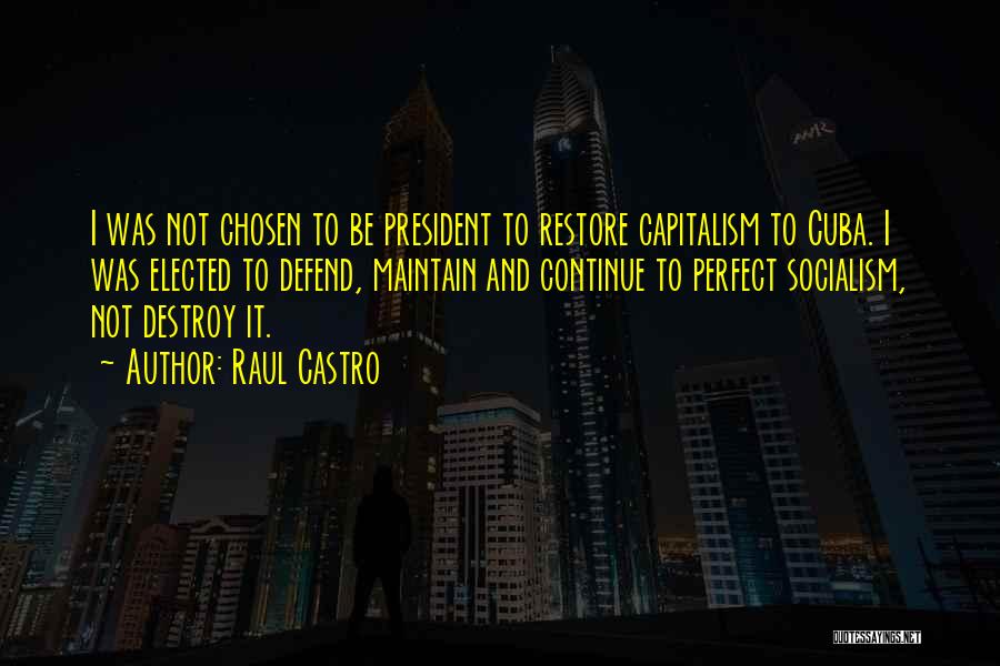 Raul Castro Quotes 734362