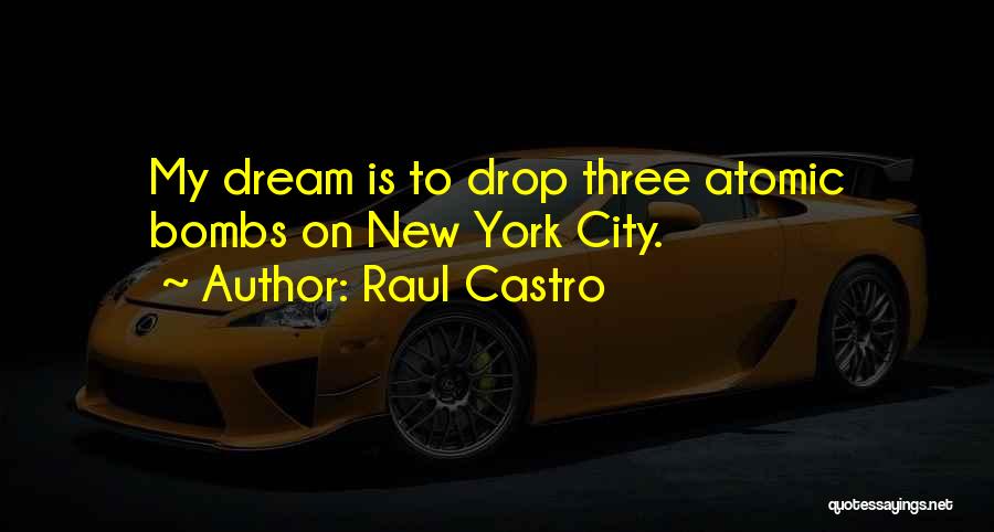 Raul Castro Quotes 794970