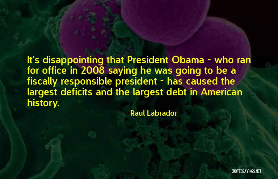 Raul Labrador Quotes 1573258