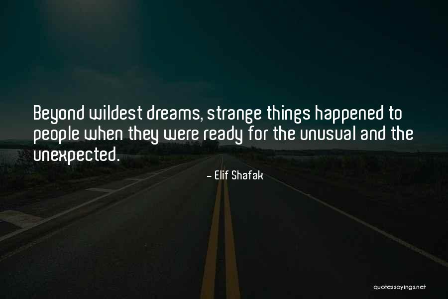 Raumer Hammer Quotes By Elif Shafak Raumer Hammer Quotes By Elif Shafak