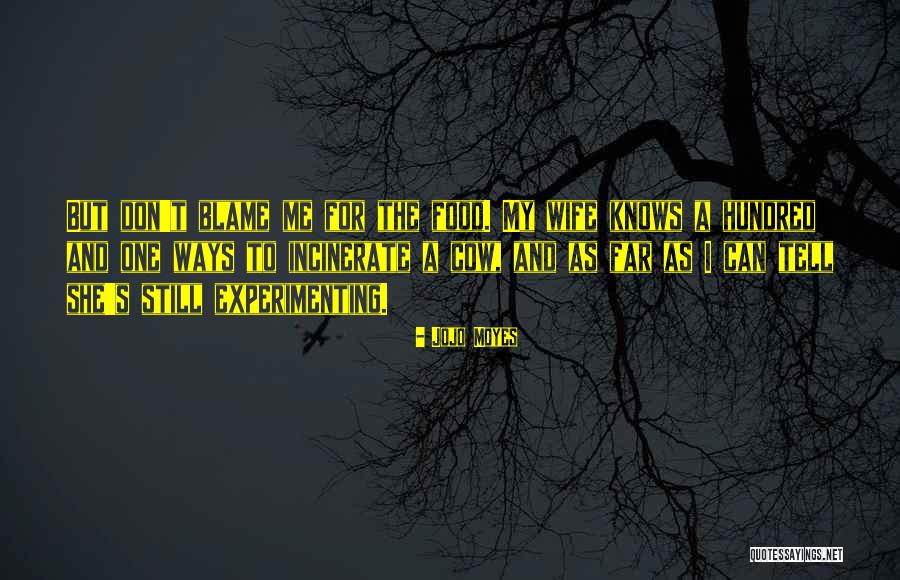 Ravans Quotes By Jojo Moyes Ravans Quotes By Jojo Moyes